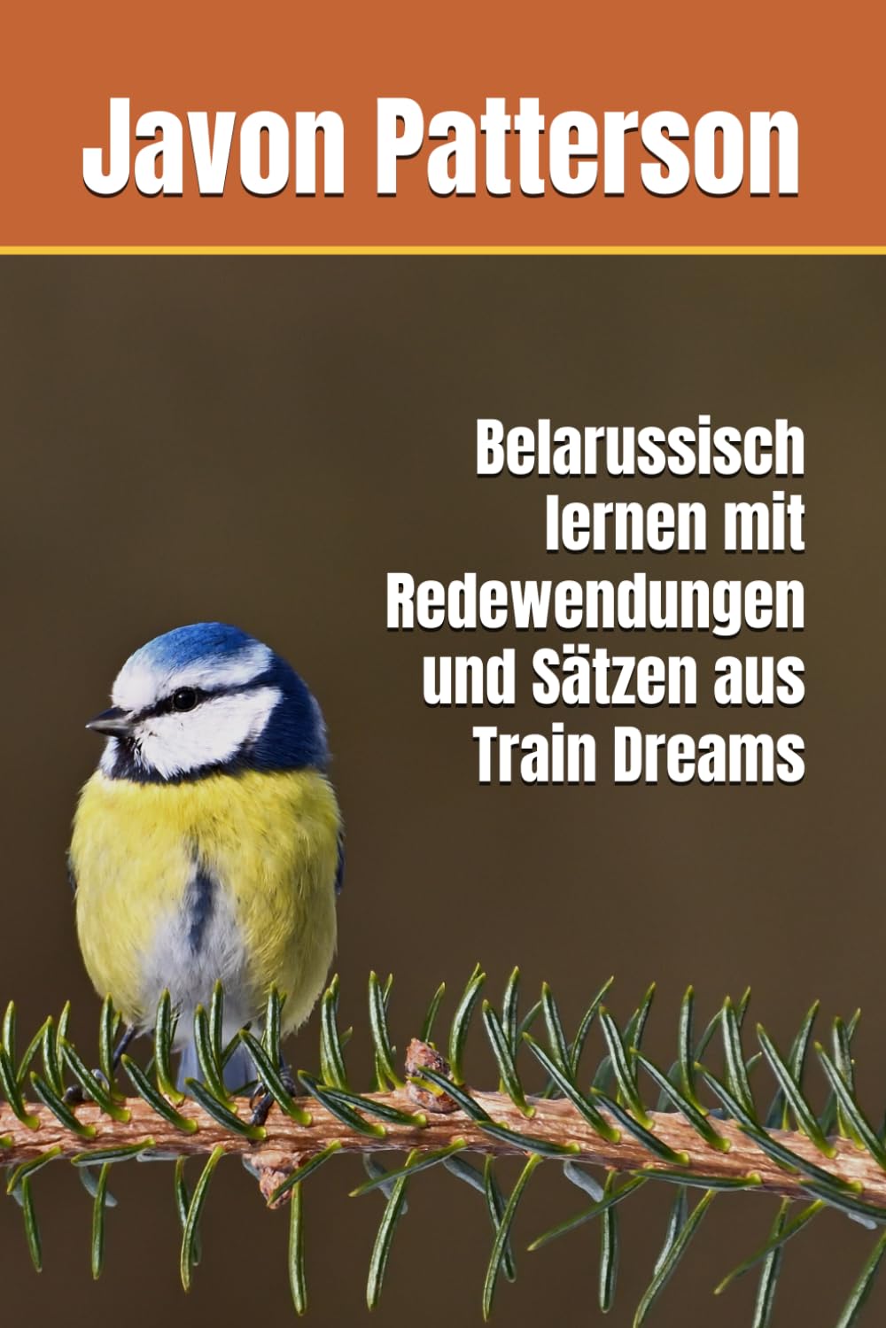 Belarussisch lernen mit Redewendungen und Sätzen aus Train Dreams
