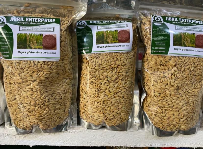 African rice,Oryza glaberrima paddy, 100% natural and organic, no additives, including phyto sanitary certificate (200g)