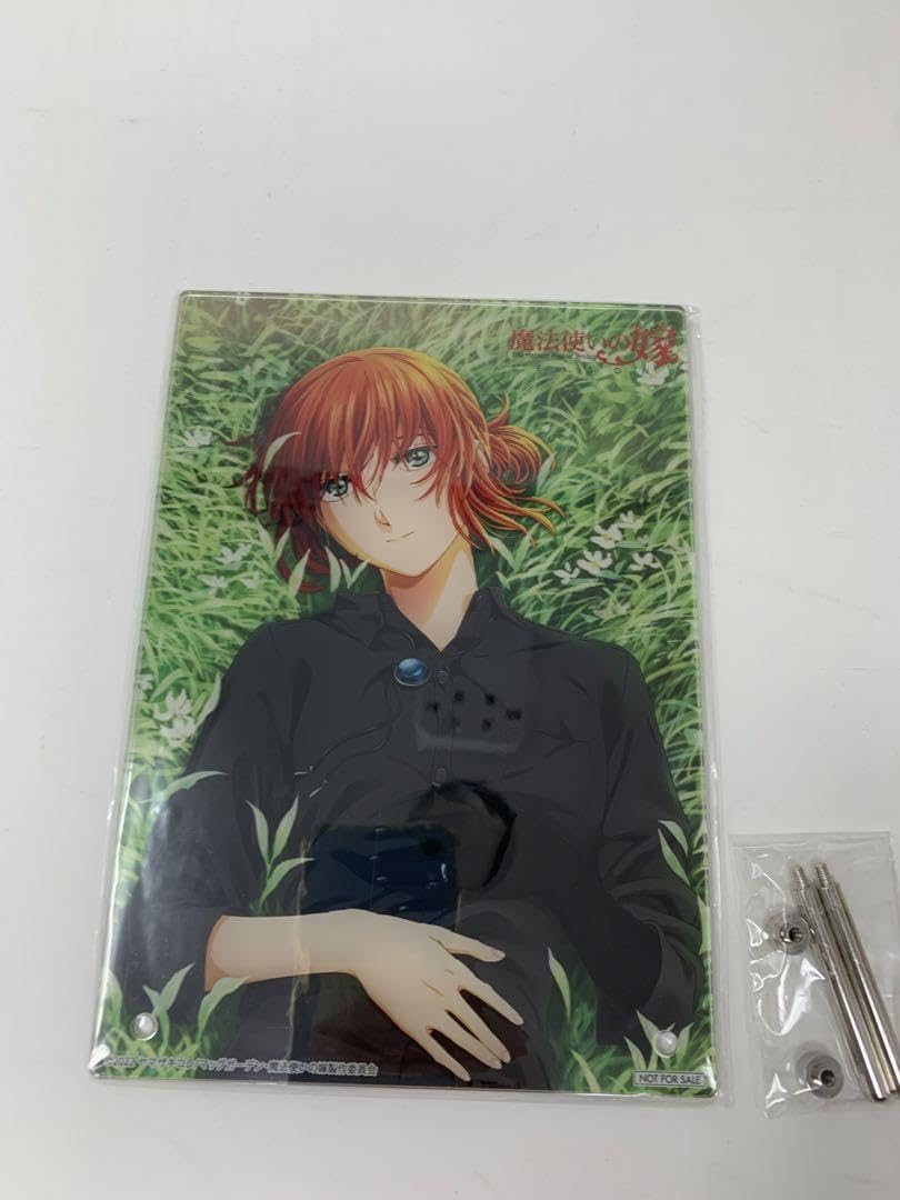 Amazon.co.jp: 魔法使いの嫁 SEASON2 全巻購入特典 羽鳥チセ A5 