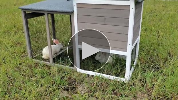 Amazon.com: petscosset Rabbit Hutch-Indoor Outdoor Rabbit
