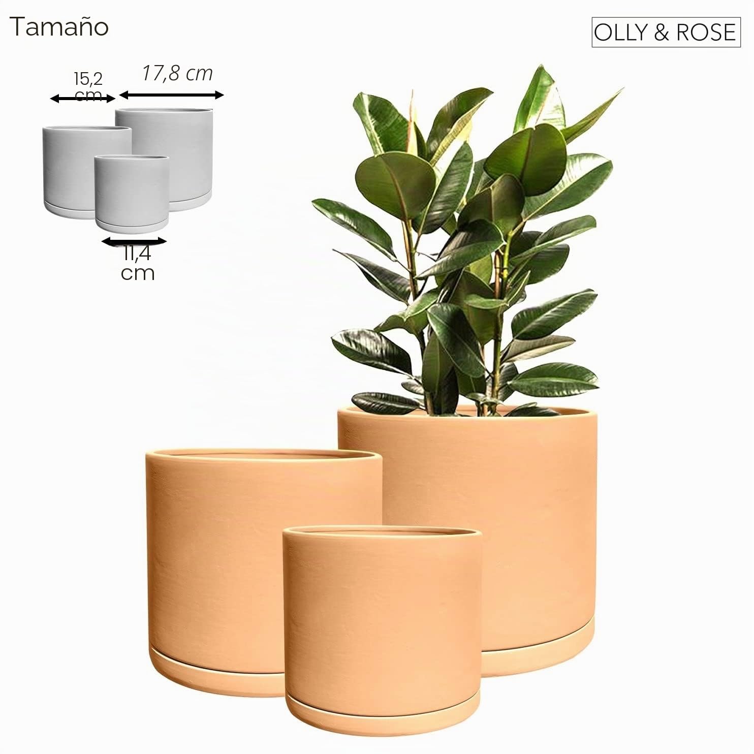 Olly & Rose Juego de 3 macetas de Terracota de Roma para jardín, macetas Redondas de cerámica para Interiores y Exteriores con platillos