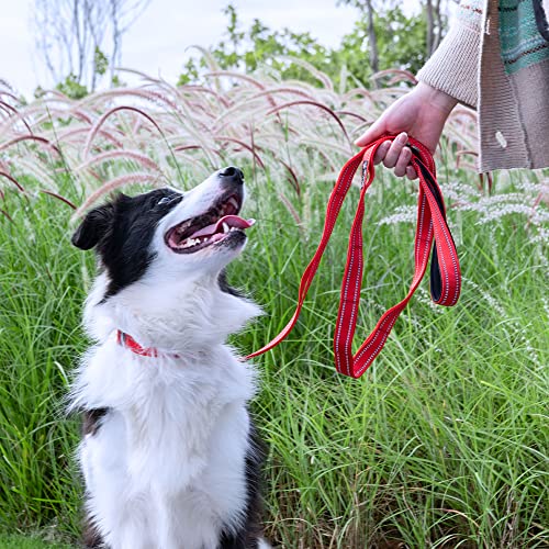 Double Layer Double-Sided Reflective Nylon Dog Leash Padded Handle 5 Ft Nylon Dogs Leashes For Walking Training Lead For Small & Medium Dogs(Blue) #TOP5