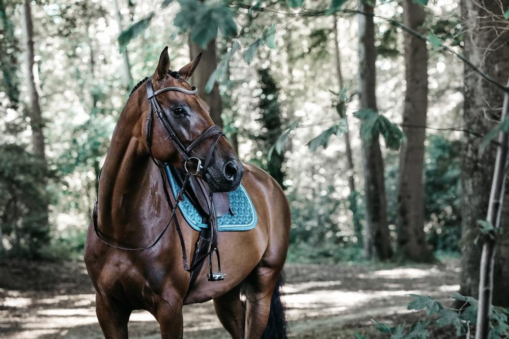 Kentucky Tapis DE Selle Velvet Emeraude Saut Cheval