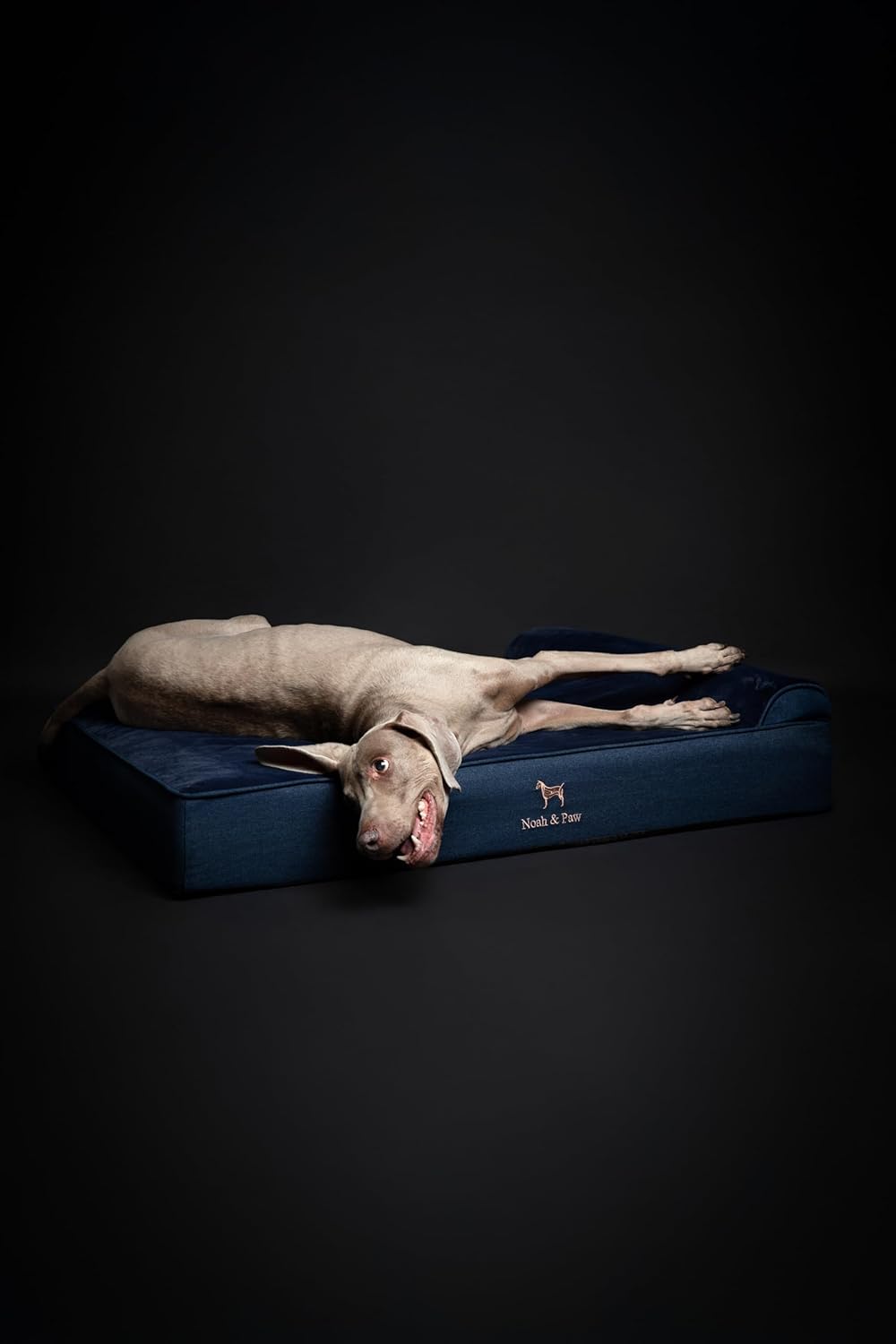NOAH & PAW XL Dog Bed, 45x35x9.1 Inch, Orthopedic Large Dog Beds, Eggshell Memory Foam Infused with Cooling Gel, Waterproof, Machine Washable, Includes Inner Cover (Denim Collection)