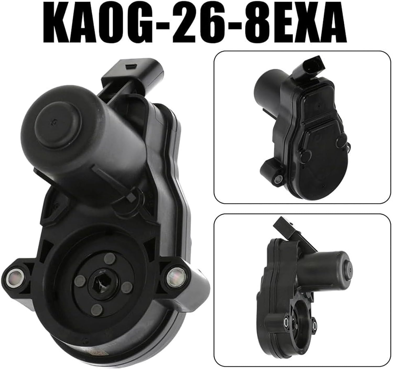 天然珊瑚✴︎根付きテーブルサンゴ ガラスケース付き 天然珊瑚✴︎根付きテーブルサンゴ ガラスケース付き サンゴ 置物」の