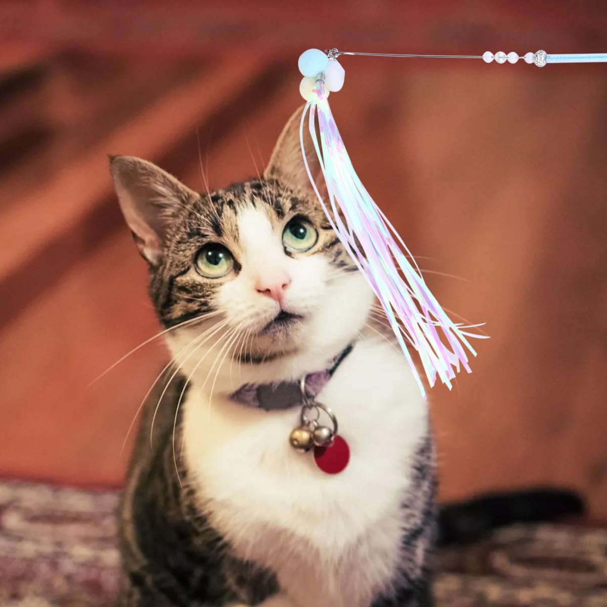 FRCOLOR 9stücke Teiliges Katzeninteraktives Spielzeugset Mit Federn Und Glöckchen Hängendes Katzenspielzeug Für Aktiven Spielspaß Und Gesunde Bewegung Und Ansprechend Für Ihre Katze
