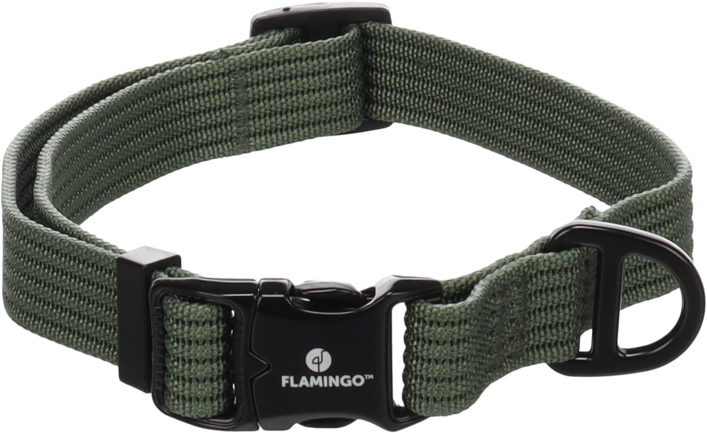 Dog Collar Cami Green M 40-55cm 20mm