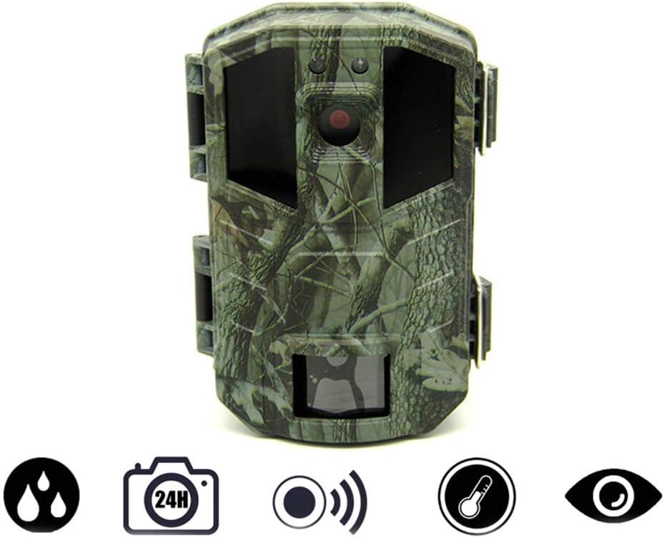 gioco traccia fotocamera fotocamera cellulare