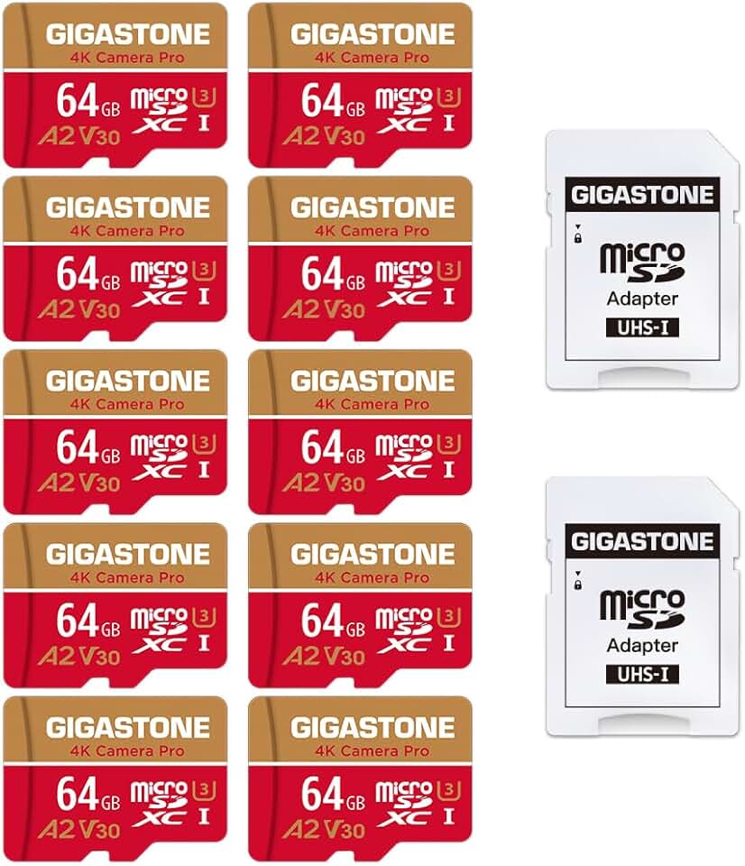 MSD-Red&Gold-32-4-5_260421