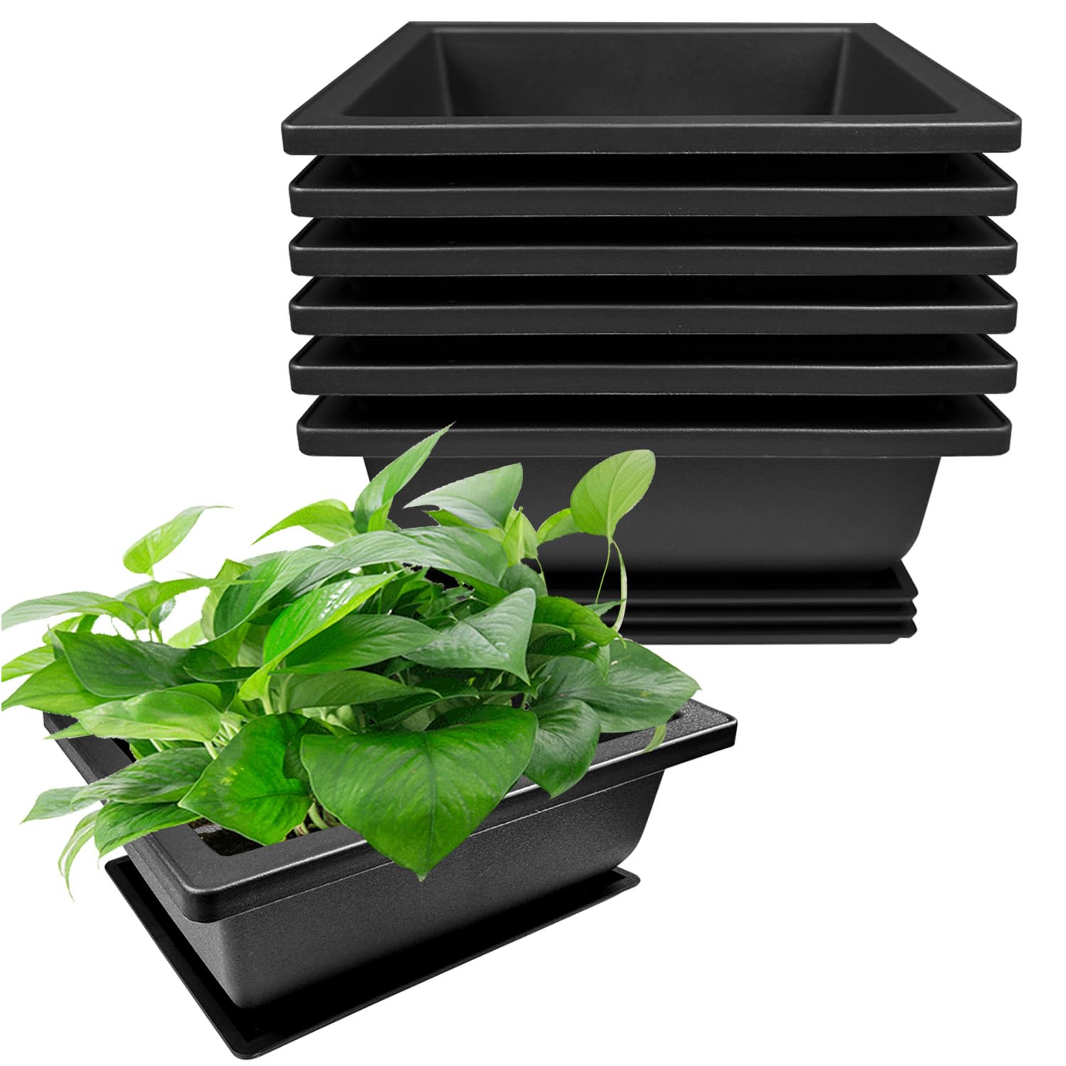 Maceta Bonsai, 6 Piezas Macetas para Bonsai, Reutilizable Plastico Macetas Bonsai Adecuado para Interior y Exterior Dormitorio Salón Jardín Oficina(16x12x6cm)