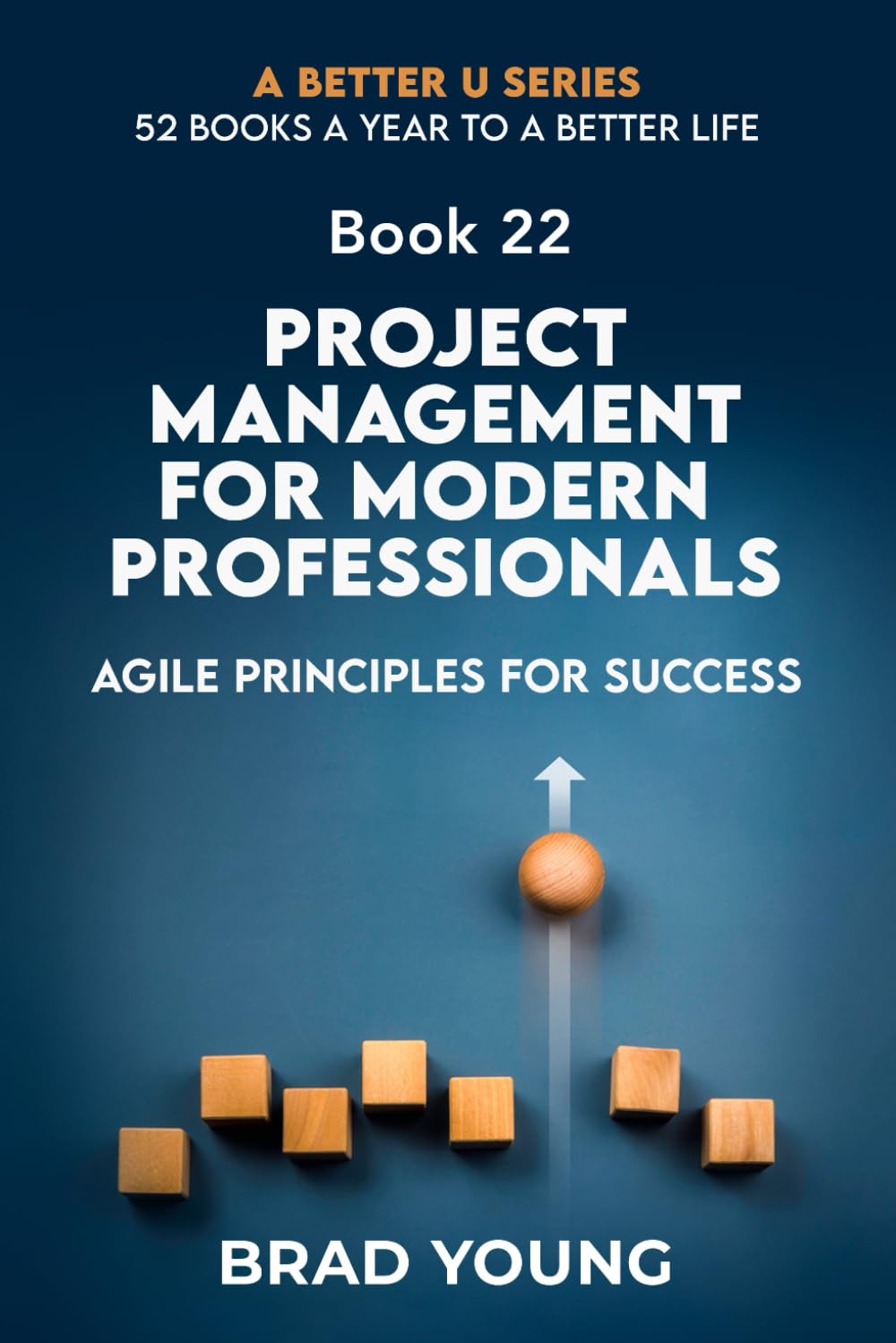 Project Management For Modern Professionals: Agile Principals For Success: 22 (A Better U:52 BOOKS A YEAR TO A BETTER LIFE)