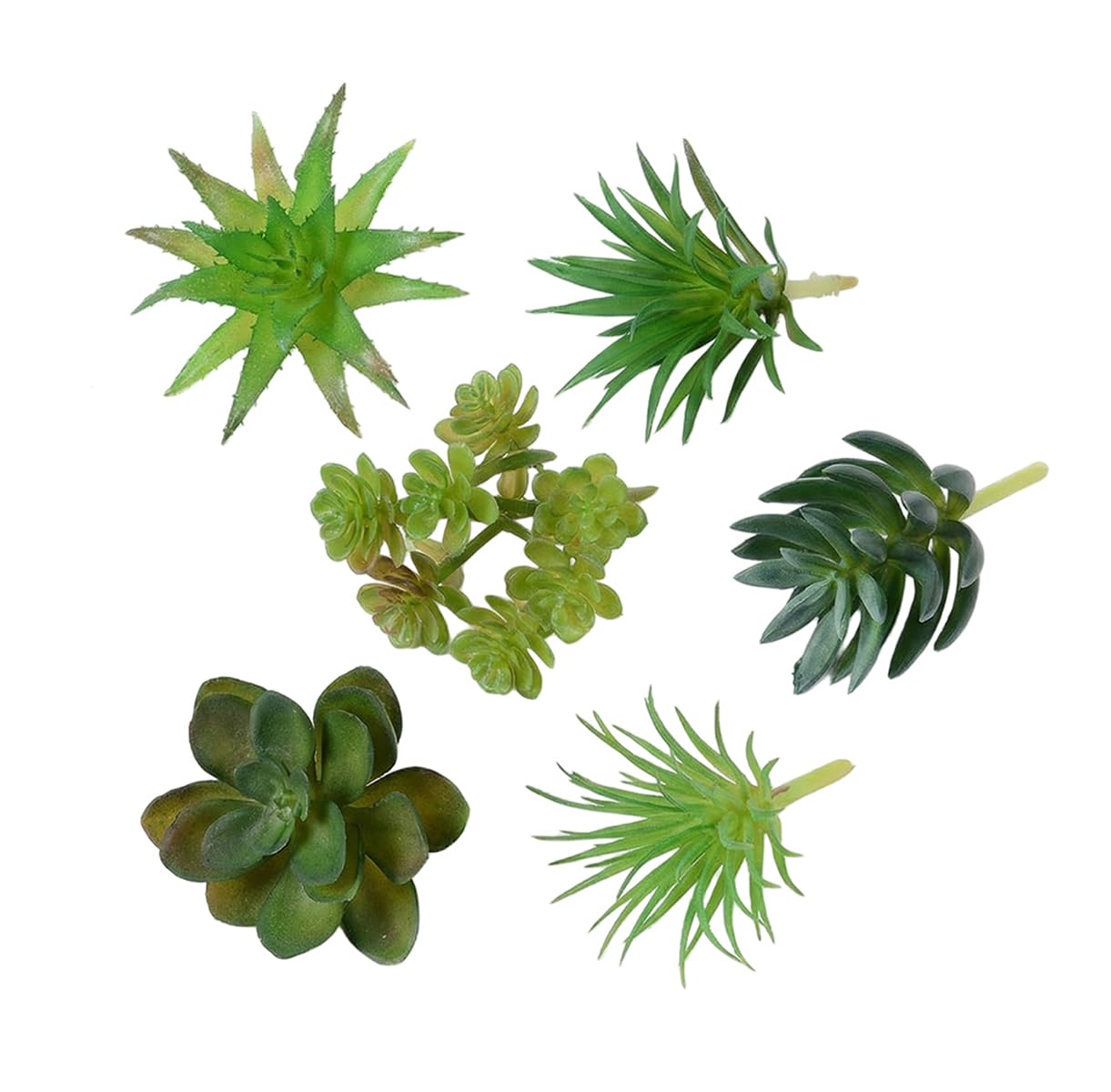Plantes succulentes artificielles pour habiller vos murs et personnaliser votre bureau de travail