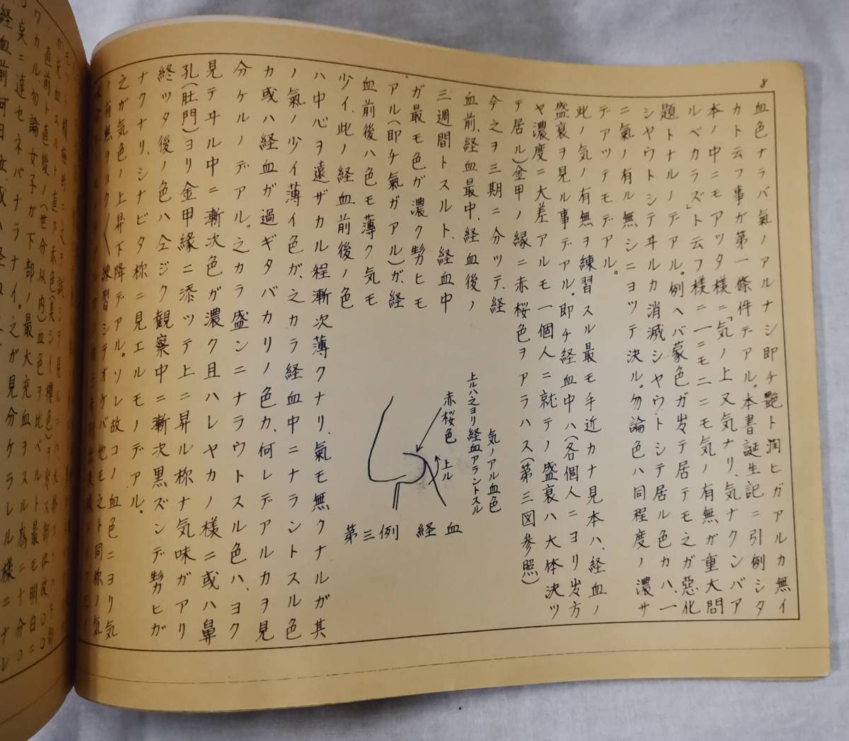 Amazon.co.jp: _/_/_/相法新説 蒙色望診法 目黒玄龍子 目黒八郎 人相学