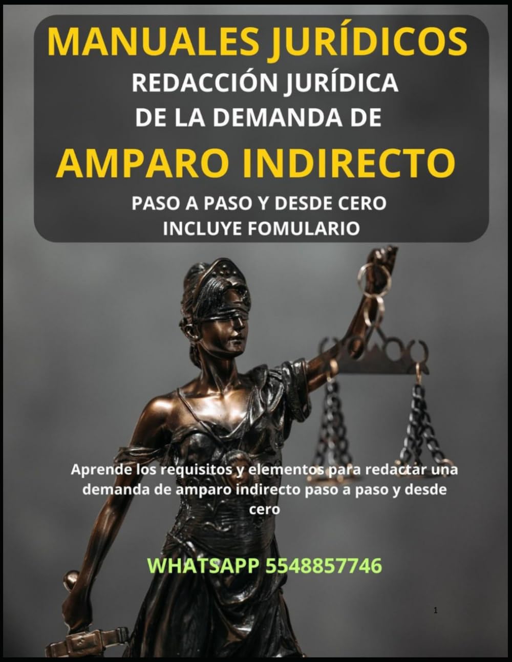 Manual de redacción de la Demanda de Amparo Indirecto: Aprende a redactar una demanda de amparo indirecto paso a paso y desde cero.