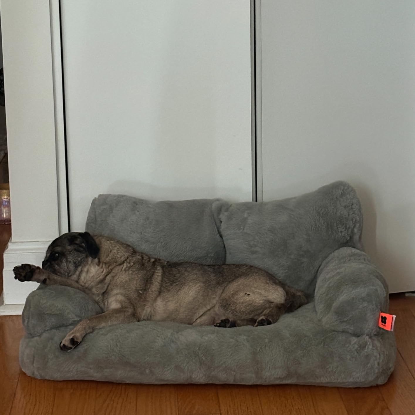 MEWOOFUN Cat Bed for Indoor Cats, Washable Dog Beds for Small Dogs & Cats with Removable Cover, Fluffy Cat Couch with Non-Slip Bottom (Grey, 26.0" L X 19.0" W X 13.0" Th) photo review