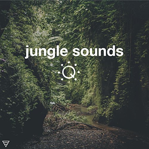 Queue Ambient Sounds for Sleep, Meditation, Background and More Jungle