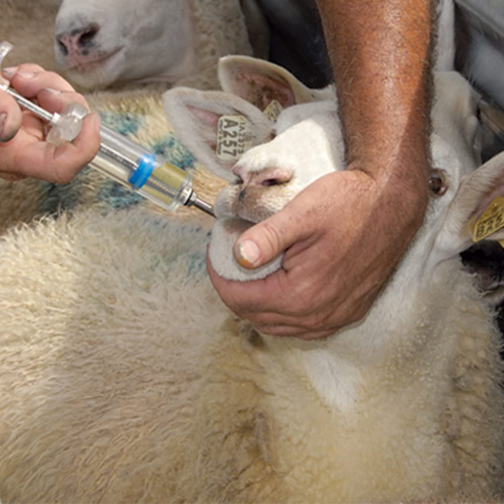 Sponsored Ad - Oral Drencher for Goat,Sheep and Dogs -50 ML