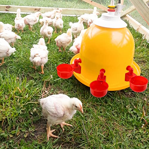 Mtynb 6 Pcs Automatic Chicken Water Cup, Poultry Drinking Bowl Chicken Feeder Cups For Ducks, Birds, Geese, Quail, Turkeys, 3/8 Inch Thread Auto-Fill Poultry Watering Drinker System, Red #TOP3
