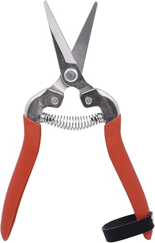 Zenport Cizalla de cosecha H300SC, hoja curvada larga del acero inoxidable