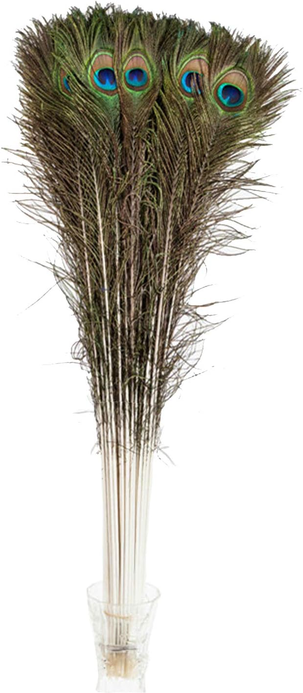 Lampu 30-35 inches Natural Peacock Feathers 20 Pcs Long Pole Dyeing Decolorization Feather