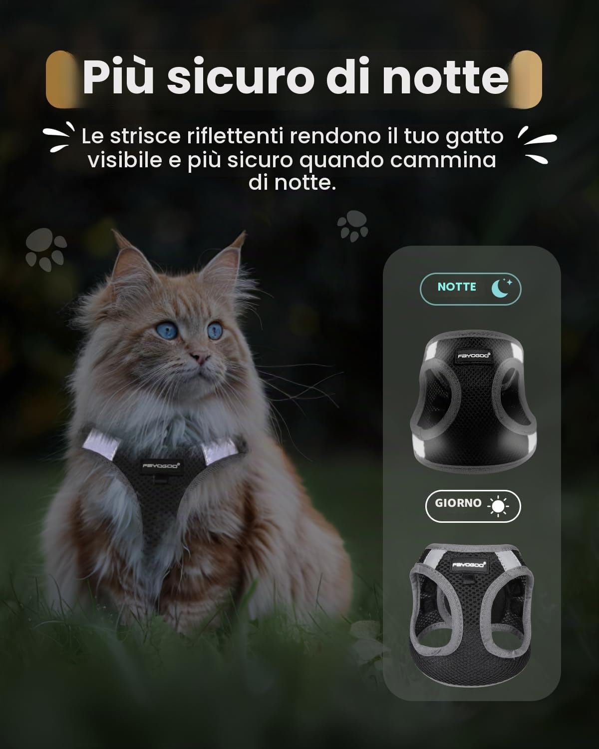 FAYOGOO Pettorina Gatto Piccolo, Guinzaglio per Gatti Pettorina Gatto Antifuga, Regolabili con Rivestimento Riflettente Guinzaglio per Cuccioli o Gatti Passeggiate all'aperto