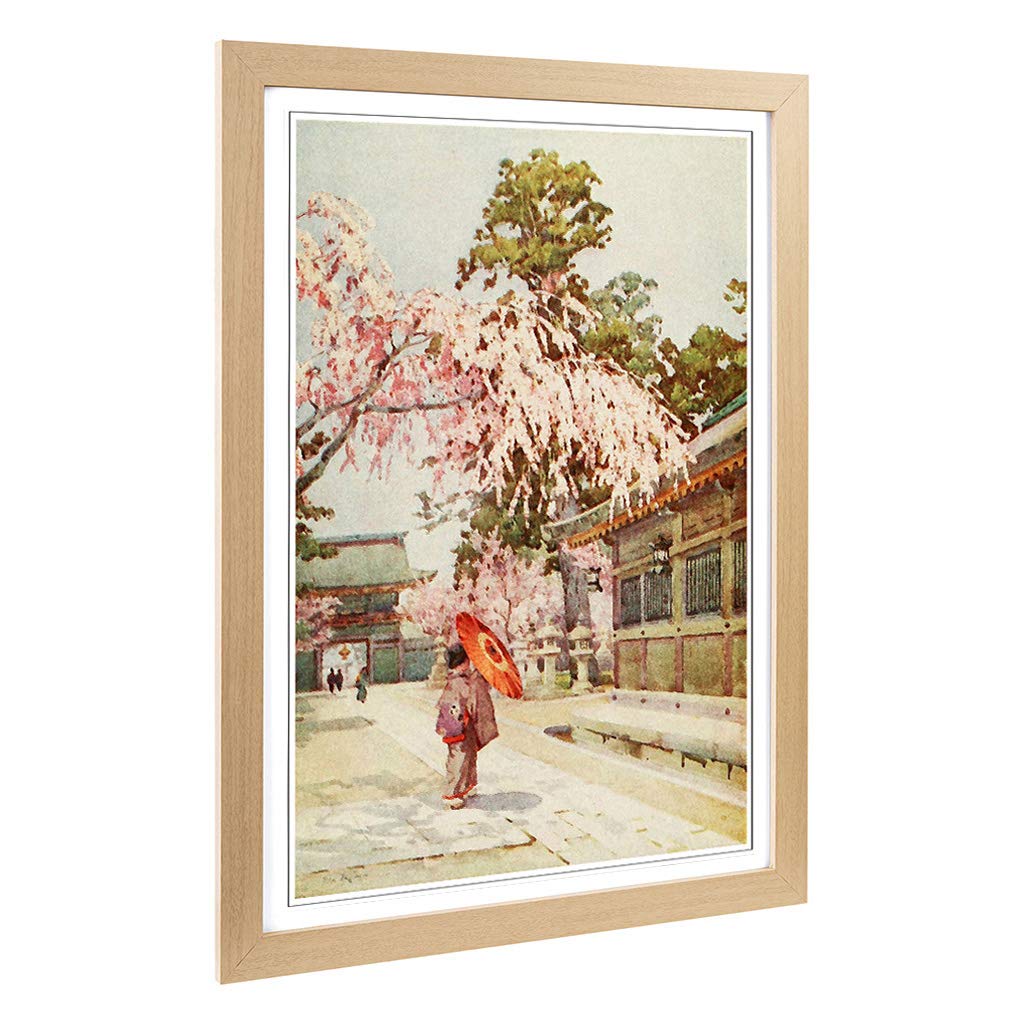 Big Box Art Framed Print of Ella Du Cane Japanese Oriental The drooping Cherry Design | Wall Art Picture| Home Decor for Kitchen, Living Room, Bedroom, Office, Oak, A2 / 24.5x18 Inch / 62x45cm
