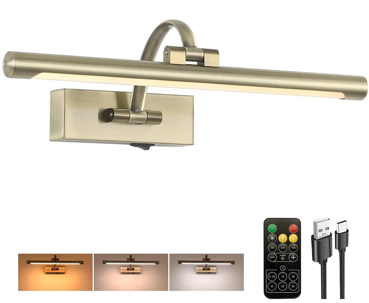 Tassuowell LED Picture Light, Battery Operated, 15.7inch Antique Bronze, Model