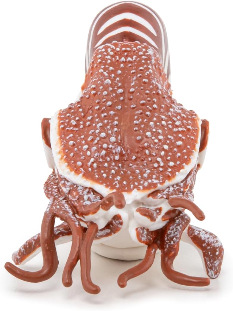 Papo - Realistic Nautilus Figure - Ages 3+ - Marine Life Collection - Educational Play Marine Creatures - Gift Idea Toy for Girls and Boys