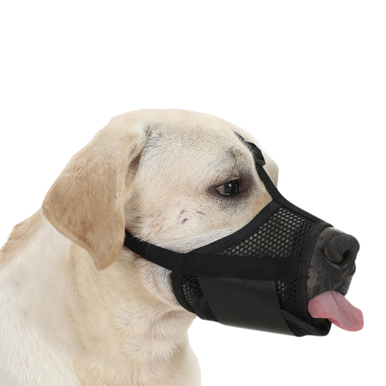 Museruola per cani, Museruola in morbida rete for cani, museruola for for prevenire i morsi, traspirante, regolabile, comoda, resistente all'abrasione(Black,M)