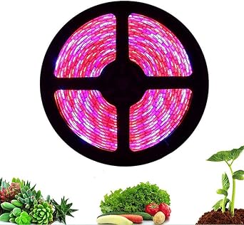 Led Grow Light Strip 5M 5050 Full Spectrum Flower Plant Phyto Growth lamp for Indoor Greenhouse Hydroponic Grows Lights 60leds/m RedBlue = 51, IP65 Waterproof
