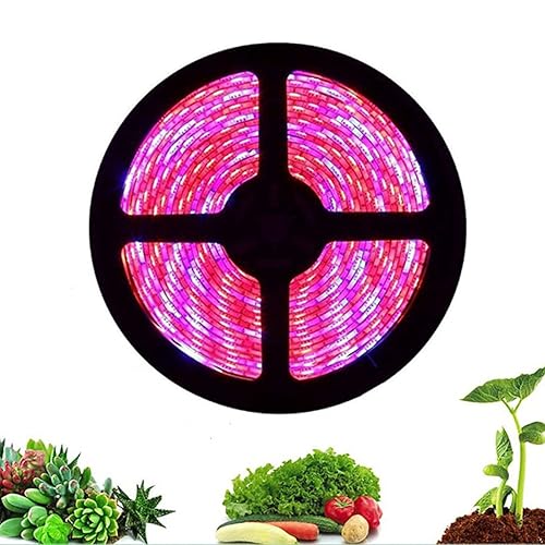 Led Grow Light Strip 5M 5050 Full Spectrum Flower Plant