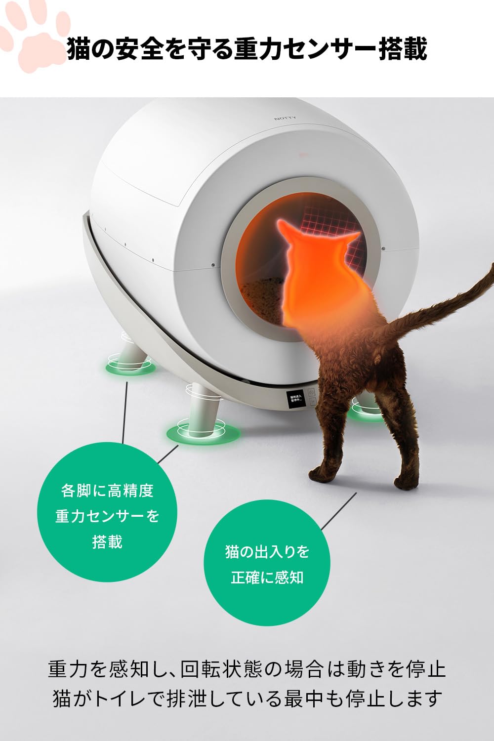自動ねこトイレ noerden catria スマート猫トイレ シンプル Amazon | Noerden Catria(キャットリア) 猫 自動トイレ 猫トイレ 自動