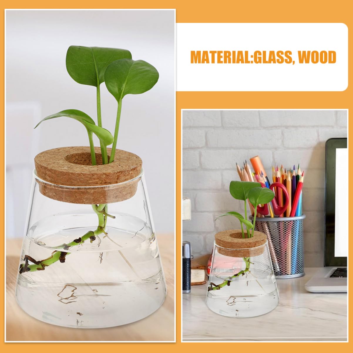 TOPBATHY 3pièces Vase Hydroponique Verre avec Couvercle Petite Jardinière pour Propagation De Plantes Terrarium De Bureau Transparent pour Fleurs