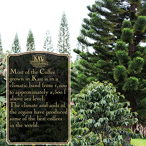 Vienna Bourbon Dark Roast Whole Bean Hawaiian Ka'u Coffee (16 Ounce), 100% Hawaiian Award Winning Coffee By Ka`u Coffee Mill #TOP2