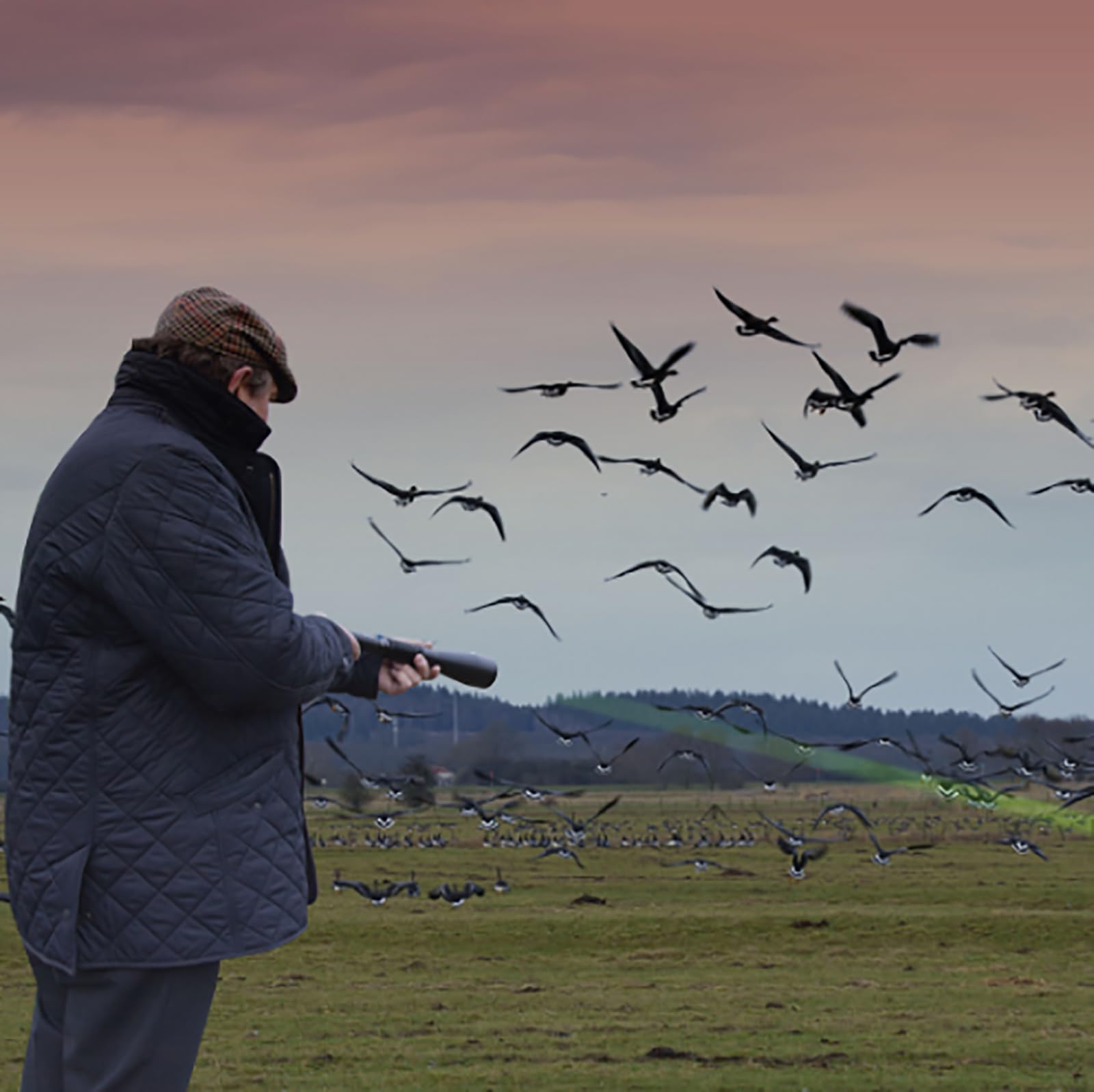 Linterna Portátil con Láser De Luz Verde para Ahuyentar Aves, Repelente De Pájaros Láser De Mano con Función De Linterna, Dispositivo Recargable para Ahuyentar Palomas Y Gorriones