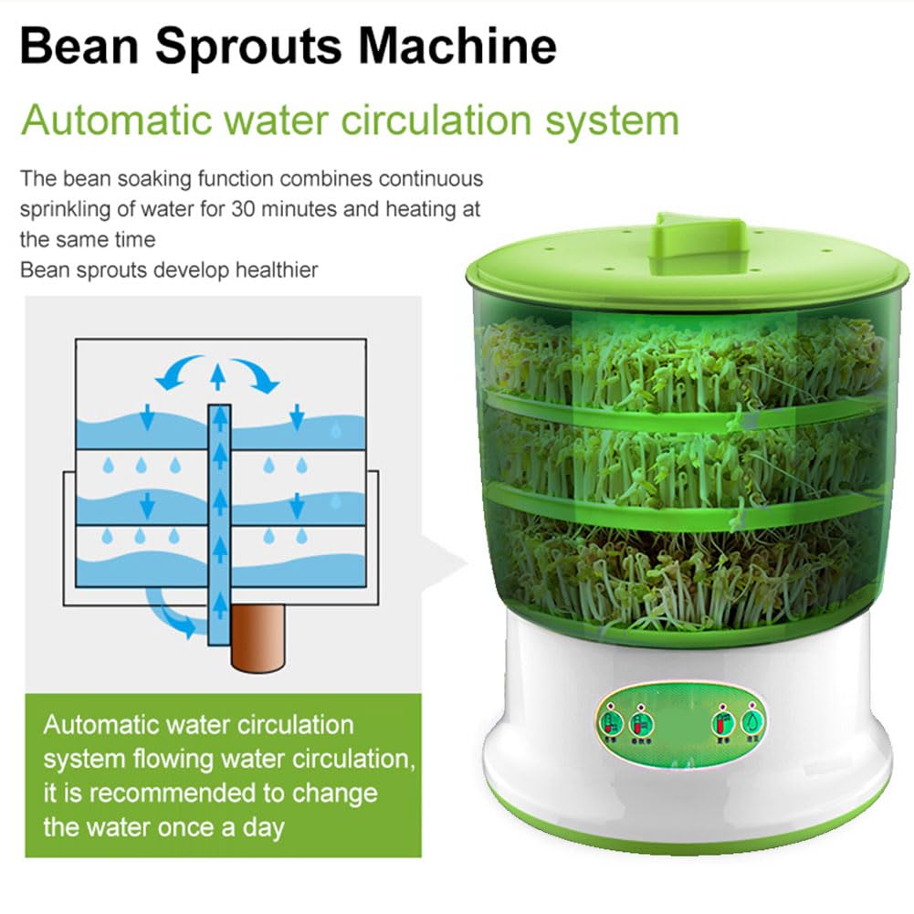 Germogliatore Bio In Vetro PTSUPLES - Kit Completo Per Semi, Con Rete Inox E Guida - Foto 5