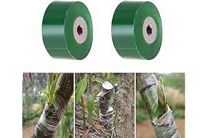 LTKJ Budding Tape: The Biodegradable Solution for Plant Grafting