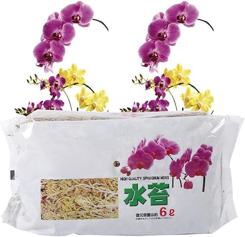 Musgo de esfagno de fibra larga, 6L de mezcla de musgo esfagnum para plantas carnívoras, orquídea Phalaenopsis, sarracenia, suculentas, trampas para