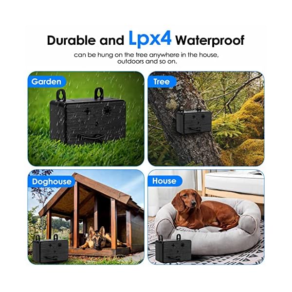 PEKET Anti Barking Device: The Ultimate Solution for Dog Barking Control