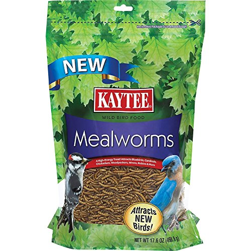 Kt Mealworm Pouch 17.6oz, Pack of 4