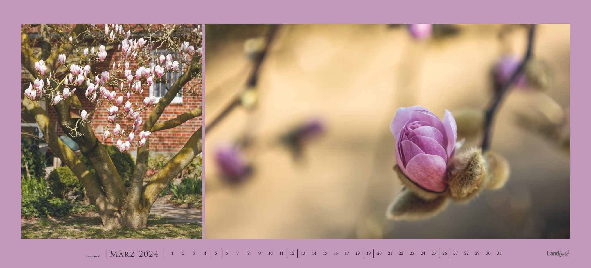 Landlust Panorama: Garten-Kontraste 2024 Wand-Kalender - Panorama-Kalender - Fotografie - Gartenkalender 110x50