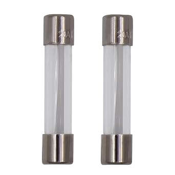 2 Pcs 5304509451 Microwave Fuses 20a 125v for Frigidaire Microwaves,Applicable for GE WB27X11138 WB27X10388 PS5136235 00469295 30469294 50462164 PS5136235 AP5648907 Microwaves Oven Fuse 6x30mm
