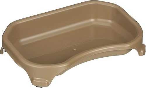 Neater Pet Brands Big Bowl - Tazón extra grande para gatos o perros pequeños, gran superficie (capacidad para 6 tazas, champán)