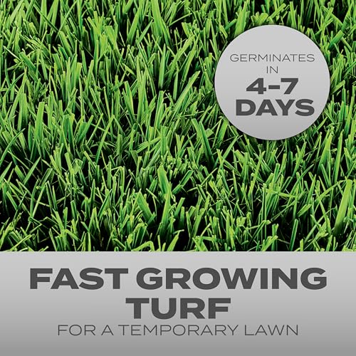 Scotts Turf Builder Grass Seed Quick Fix Mix, 3 lbs. | Fast Growing Turf for a Temporary Lawn, Geminates within 4-7 Days - image 2