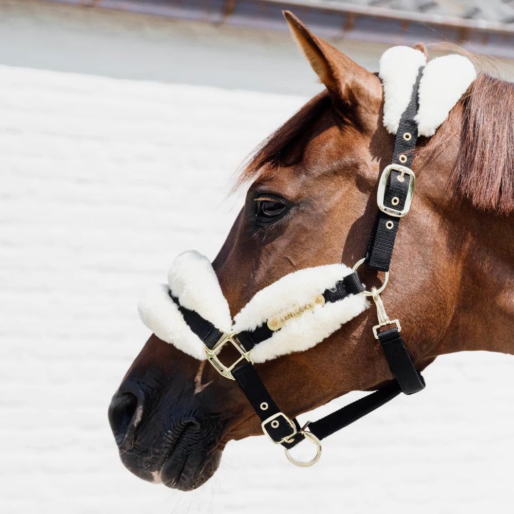 Kentucky - Halfter Pony - Natürlich - Vegane Wolle
