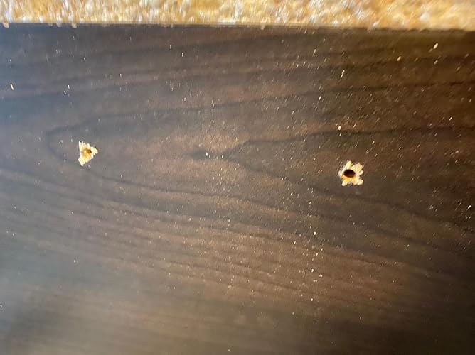 Review Image by Hailey C.