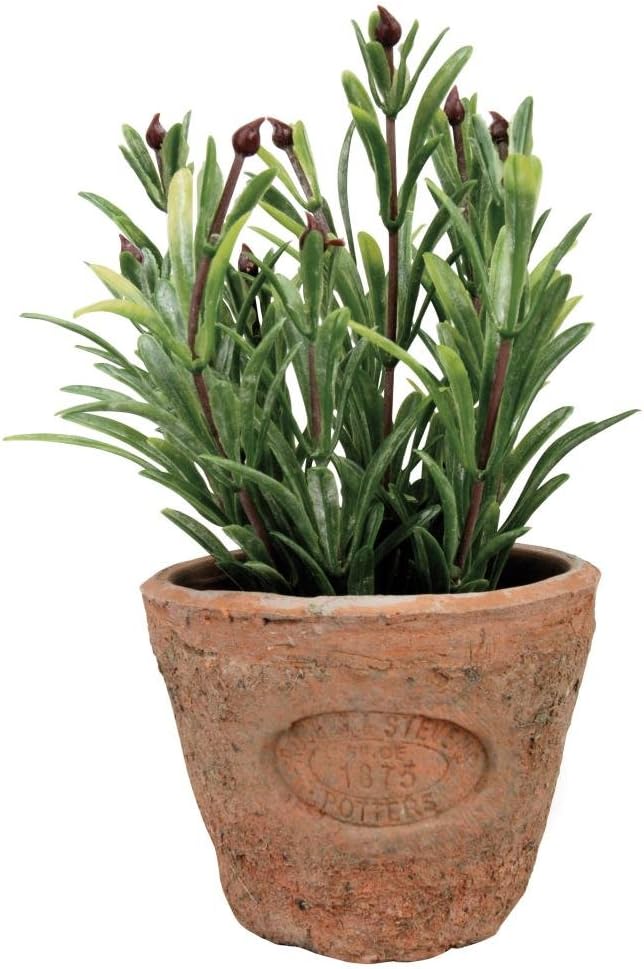 Esschert's Design AH011 Small Artificial Aged Terracotta Pot - Rosemary