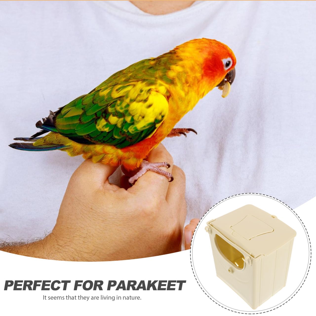 POPETPOP Lot de 12 nichoirs en plastique pour oiseaux - Pour perroquets et pinsons