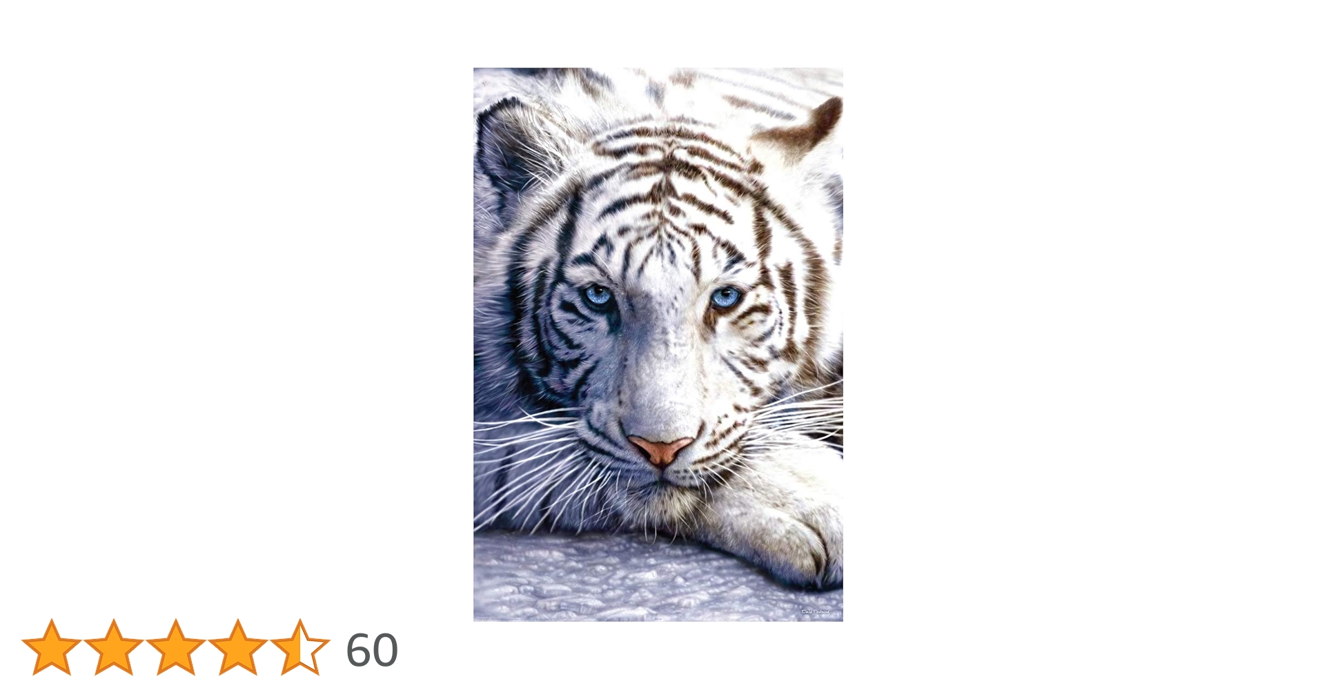 61PJg4coZbL.jpg_BO30,255,255,