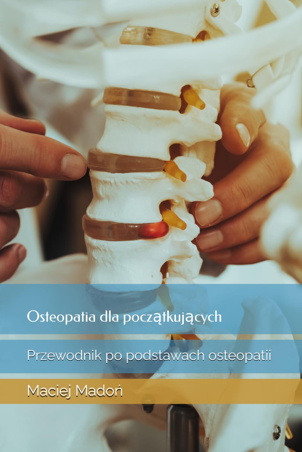 Osteopatia dla początkujących: Przewodnik po podstawach osteopatii